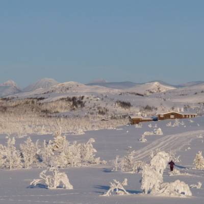 cross country skiing in Norway (1 of 1).jpg